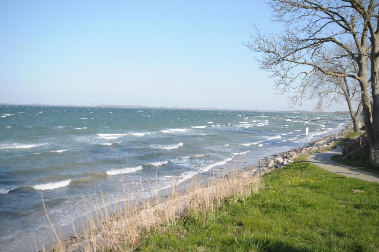 Strandappartement Steinberghaff "Zur Birk" Mit Meerblick Steinberg  Exteriör bild